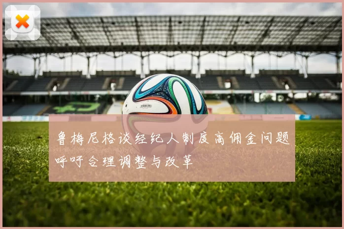 鲁梅尼格谈经纪人制度高佣金问题呼吁合理调整与改革