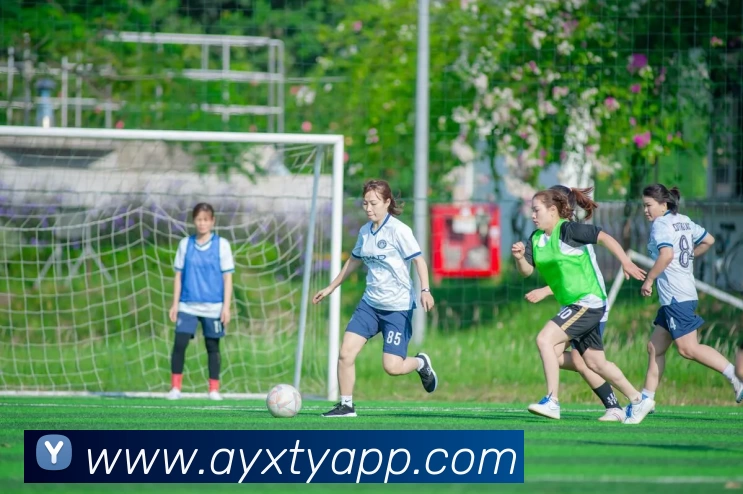 爱游戏体育APPAPP 封面图